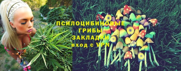 стаф Бронницы
