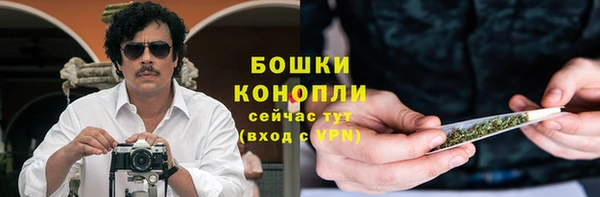 молекула духа Белокуриха