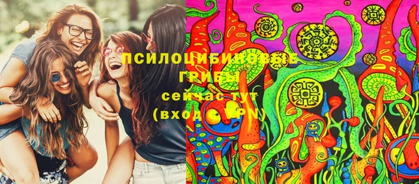 молекула духа Бугульма