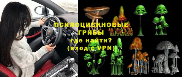 спайс Бородино