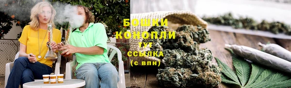 спайс Бородино