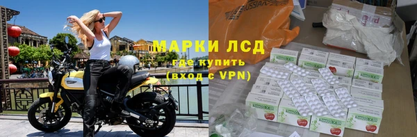 спайс Бородино